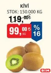 KİVİ KG fiyat ve kampanya bilgisi
